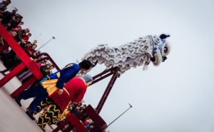 LunarFest 2019 at Katy Asian Town8